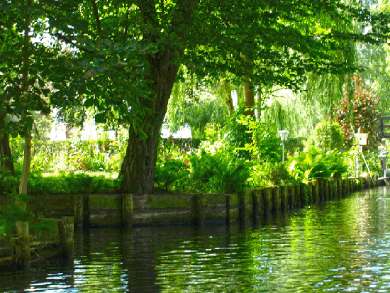 Jahresausflug Cottbus/Spreewald/Berlin 2015